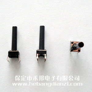 輕觸開關(guān)6*6*19mm
