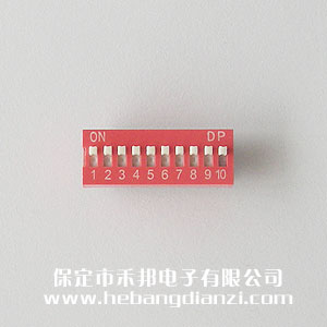 10P撥碼開關(guān) 平撥