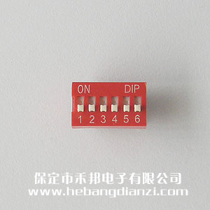 6P撥碼開關(guān) 平撥