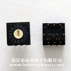 ���a�_�P(gu��n)0-F ֱ��