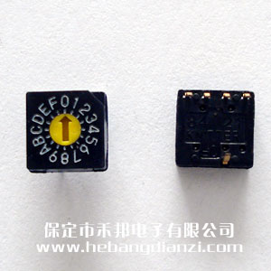 ���a�_�P(gu��n)0-F ֱ��