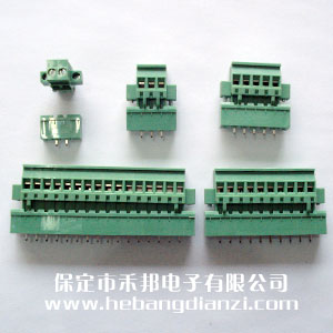 立式插拔帶固定孔側(cè)接-2P,3P,4P,5P,6P,8P,9P,10P,12P,14P,15P,16P,24P