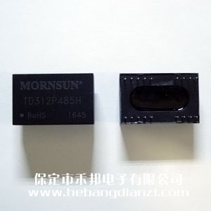 485隔離模塊 TD312P485H