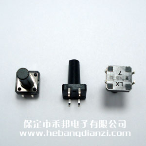 輕觸開關(guān)12*12*19mm