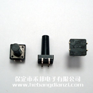 輕觸開關(guān)12*12*21mm
