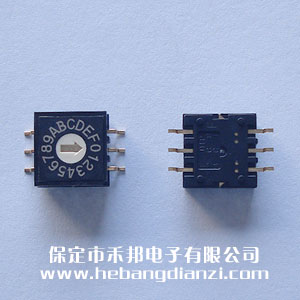 ���a�_�P(gu��n)0-F �NƬ